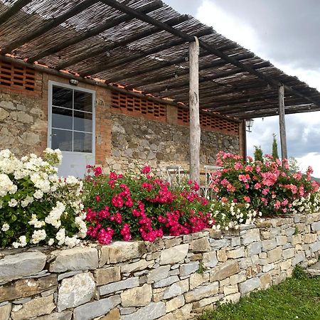 Apartament Tregole Castellina in Chianti Zewnętrze zdjęcie