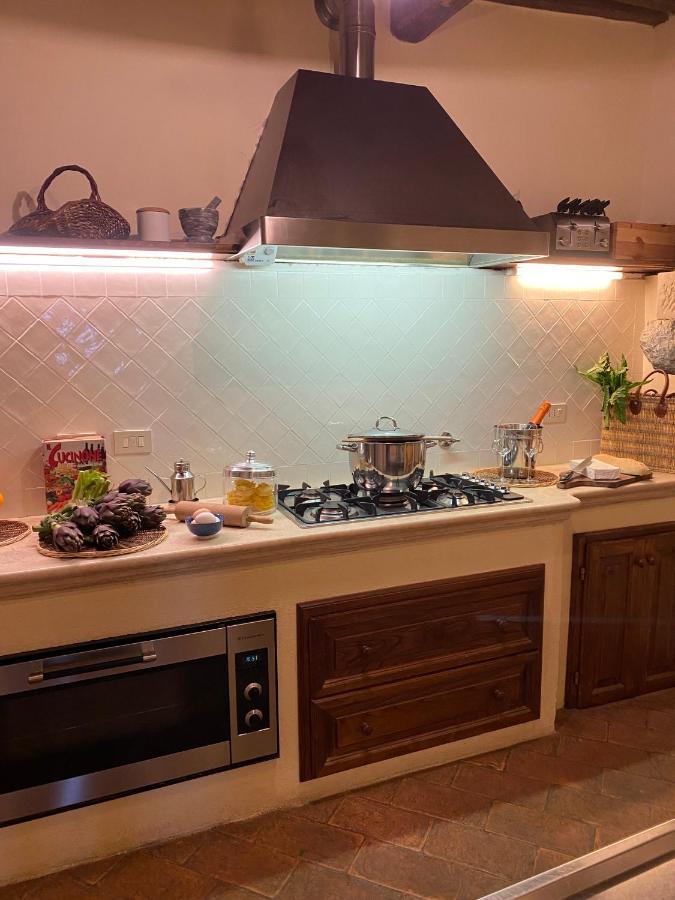 Apartament Tregole Castellina in Chianti Zewnętrze zdjęcie