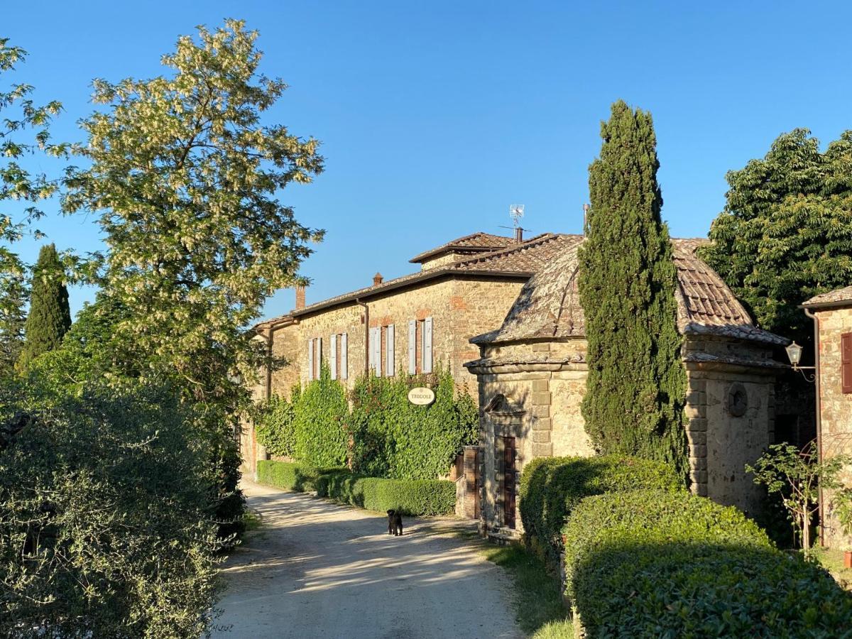 Apartament Tregole Castellina in Chianti Zewnętrze zdjęcie