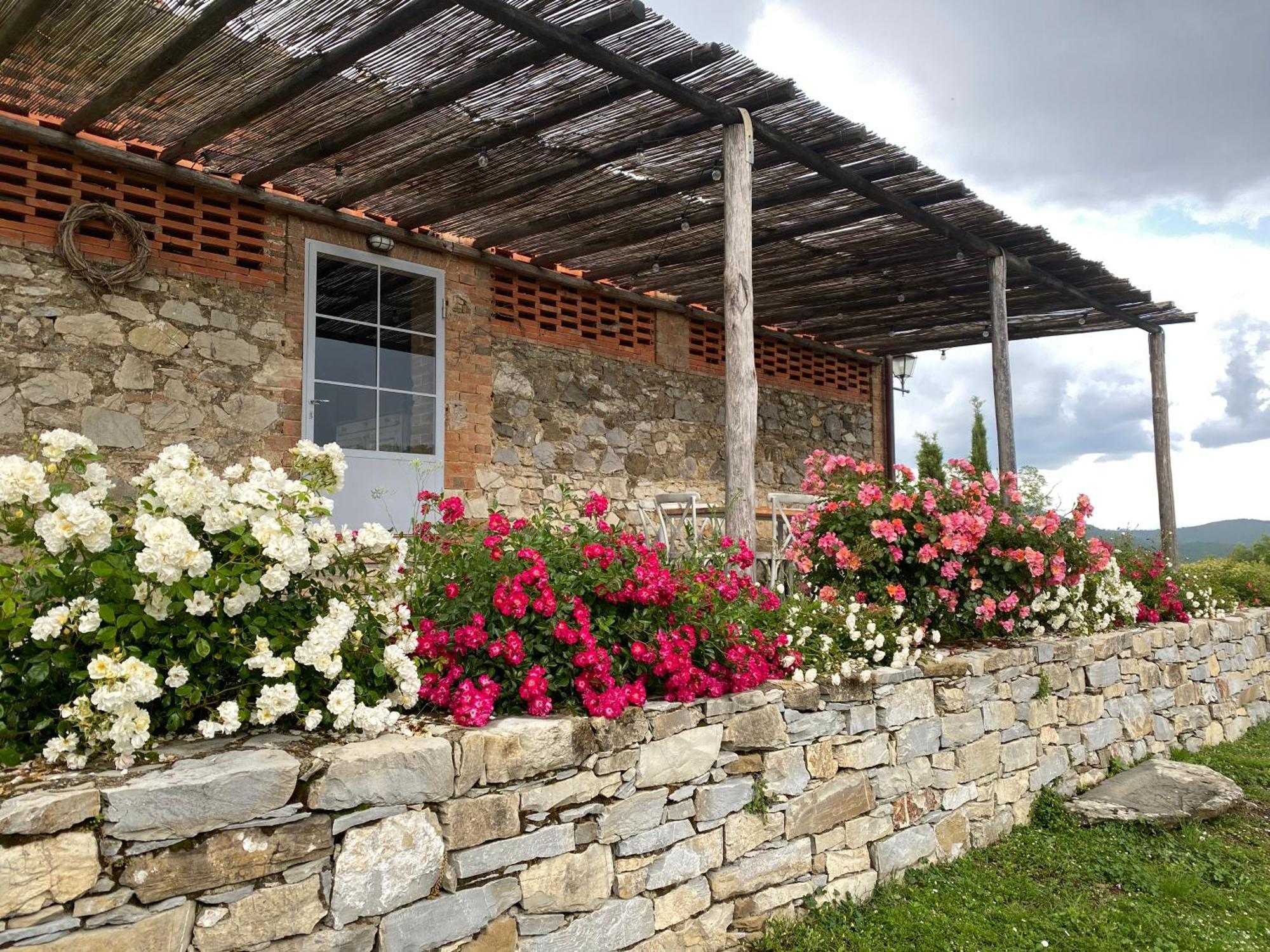 Apartament Tregole Castellina in Chianti Zewnętrze zdjęcie