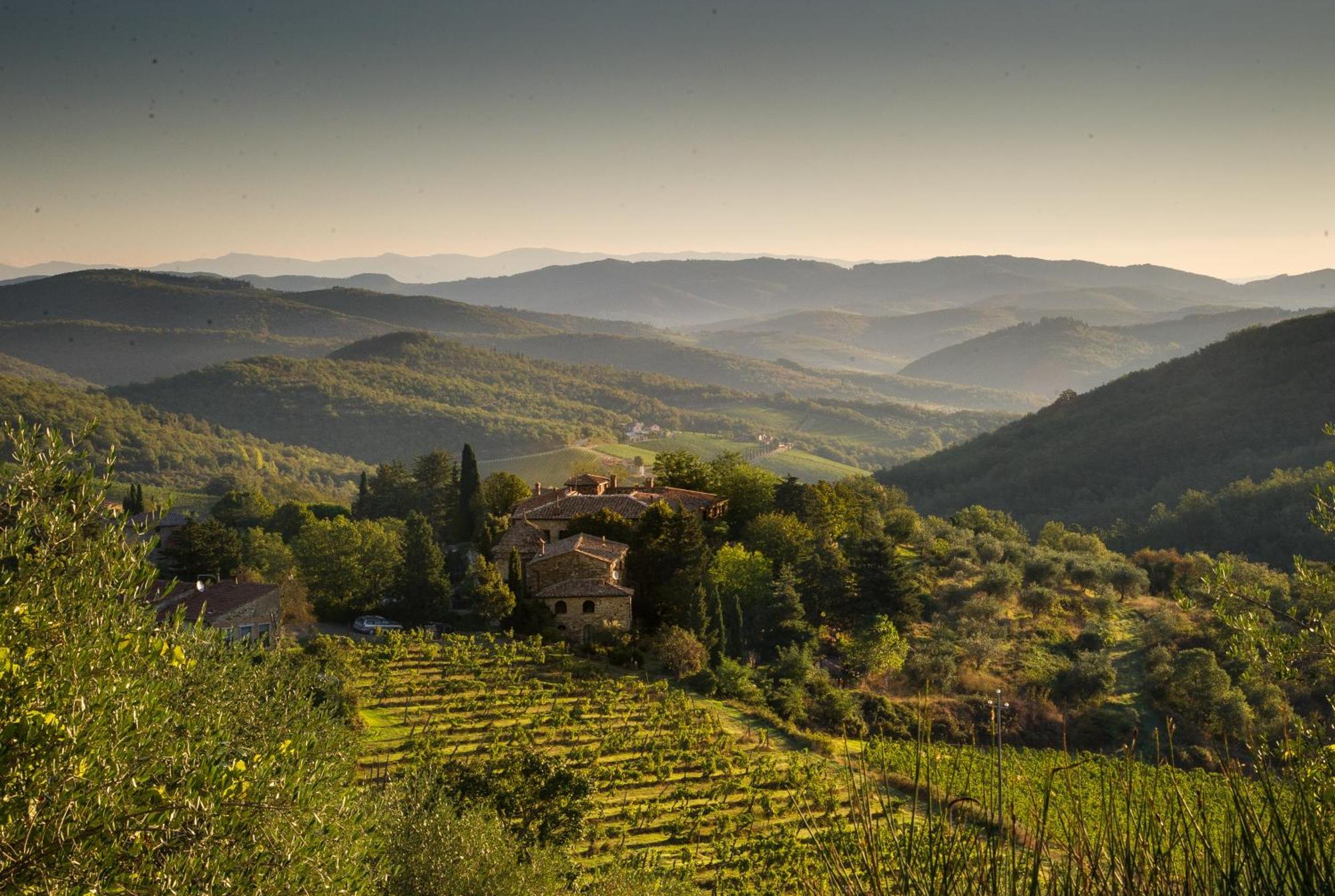 Apartament Tregole Castellina in Chianti Zewnętrze zdjęcie